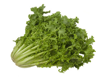 Escarole Lettuce